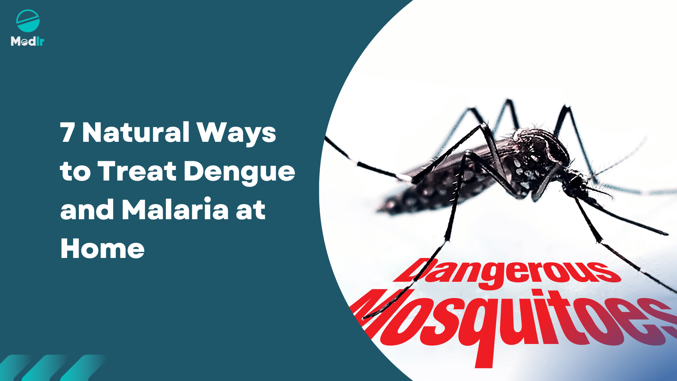 7 Natural Ways to Treat Dengue and Malaria at Home