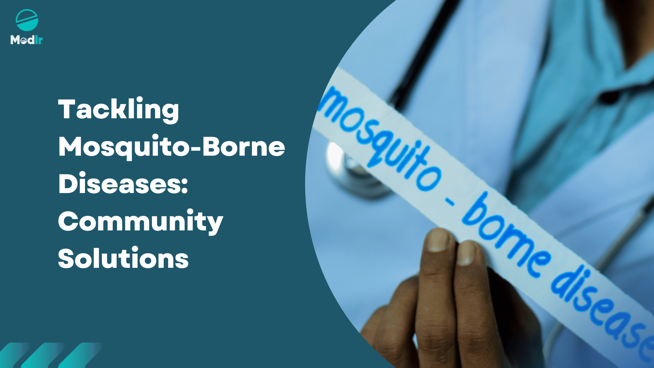 Tackling Mosquito-Borne Diseases: Community Solutions