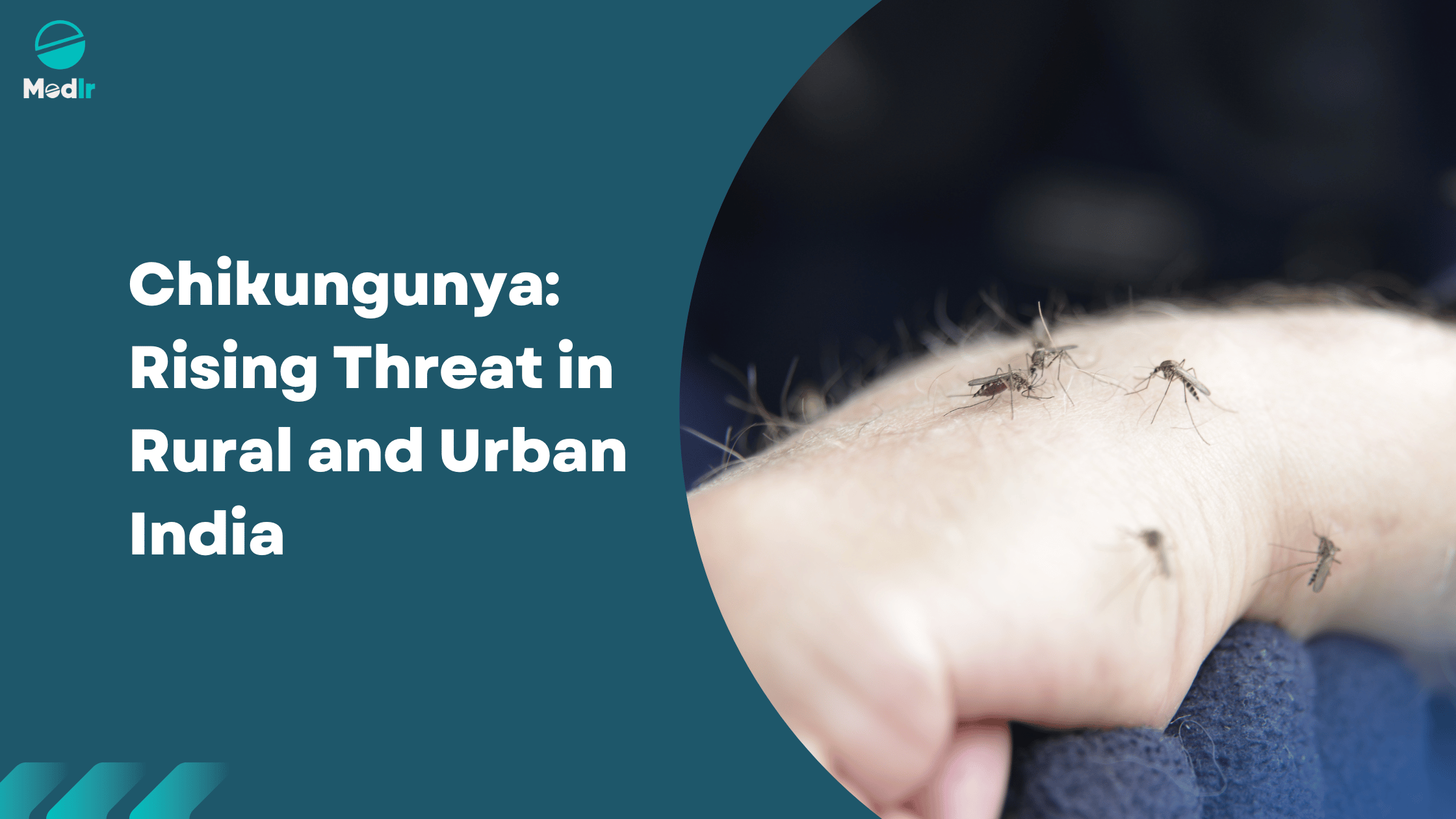 Chikungunya: Rising Threat in Rural and Urban India