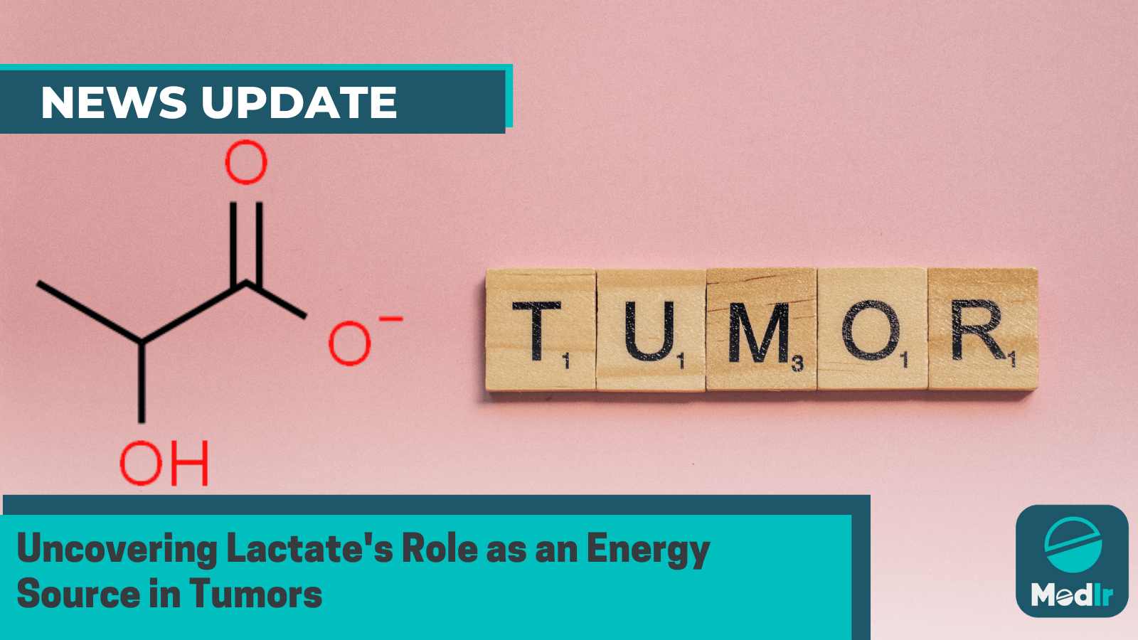 Uncovering Lactate's Role as an Energy Source in Tumors