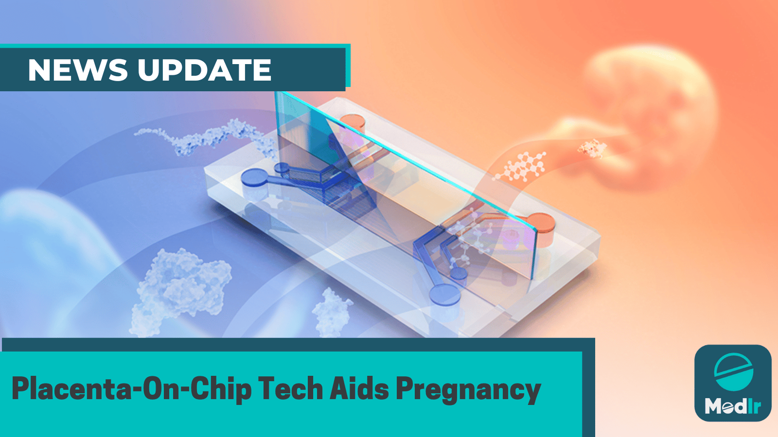 Placenta-On-Chip Tech Aids Pregnancy