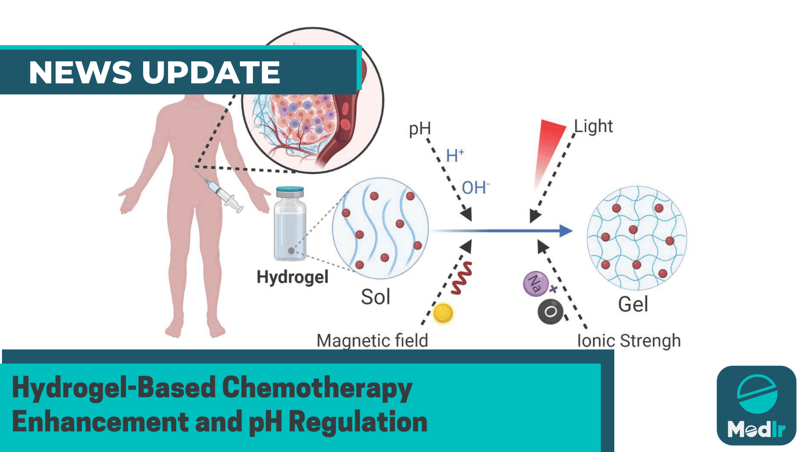 Hydrogel-Based Chemotherapy Enhancement and pH Regulation