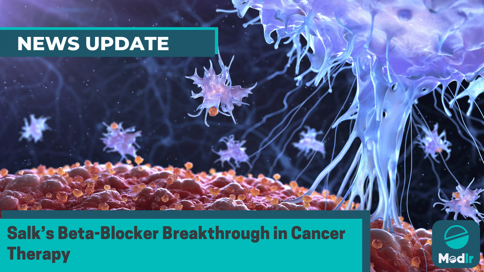 Salk’s Beta-Blocker Breakthrough in Cancer Therapy