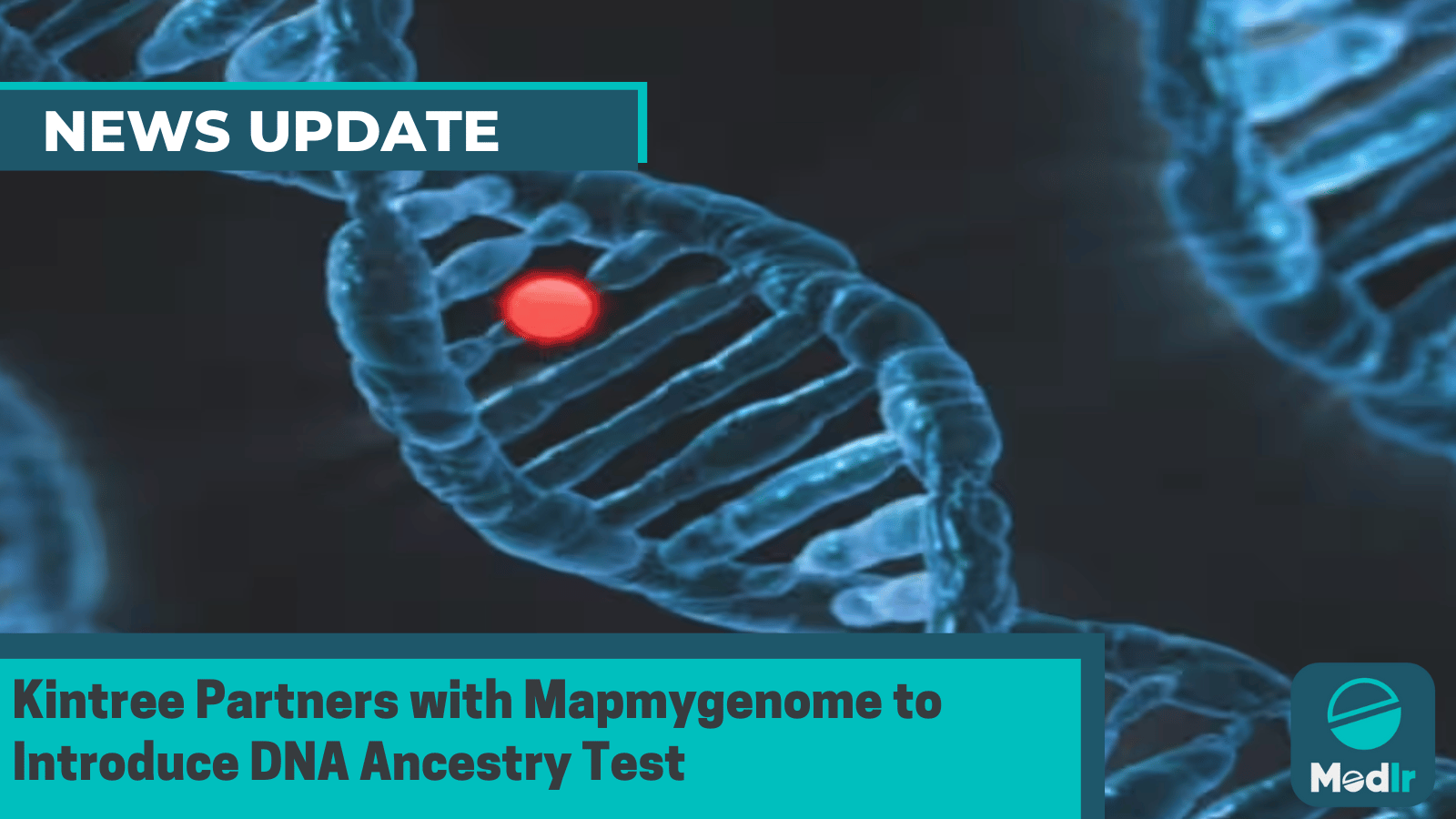 Kintree Partners with Mapmygenome to Introduce DNA Ancestry Test