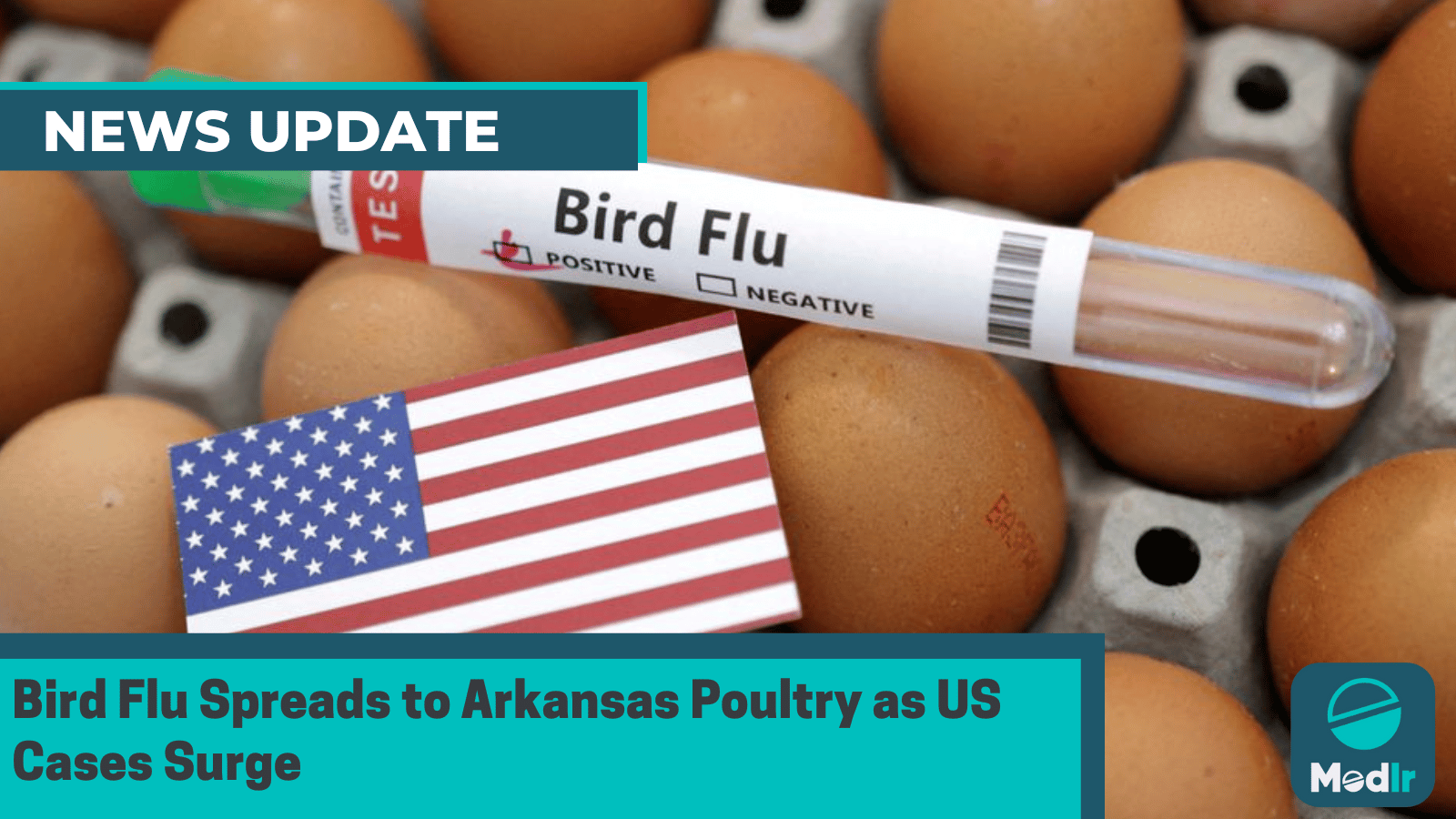 Bird Flu Spreads to Arkansas Poultry as US Cases Surge