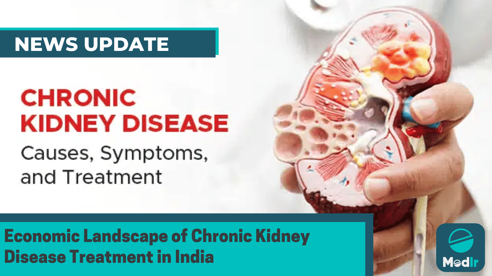 Economic Landscape of Chronic Kidney Disease Treatment in India