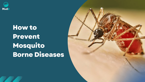 How to Prevent Mosquito-Borne Diseases