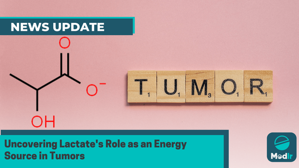 Uncovering Lactate's Role as an Energy Source in Tumors